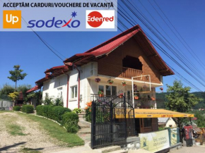 Отель Vila Nadia  Oeștii Pământeni